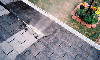 Roof Cleaning in Seattle WA Roof Cleaning Services in Seattle WA Roof Cleaning in WA Seattle Clean the roof in Seattle WA Roof Cleaner in Seattle WA Roof Cleaner in WA Seattle Quality Roof Cleaning in Seattle WA Quality Roof Cleaning in WA Seattle Professional Roof Cleaning in Seattle WA Professional Roof Cleaning in WA Seattle Roof Services in Seattle WA Roof Services in WA Seattle Roofing in Seattle WA Roofing in WA Seattle Clean the roof in Seattle WA Cheap Roof Cleaning in Seattle WA Cheap Roof Cleaning in WA Seattle Estimates on Roof Cleaning in Seattle WA Estimates in Roof Cleaning in WA Seattle Free Estimates in Roof Cleaning in Seattle WA Free Estimates in Roof Cleaning in WA Seattle